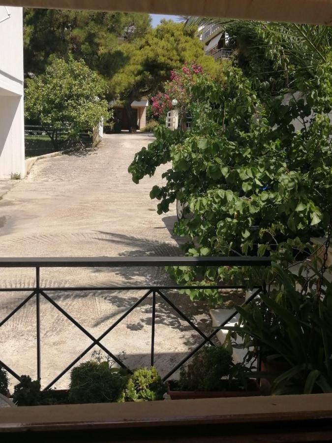 Sunny Garden Studio Athens Exterior photo